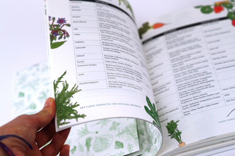 Wie Sie ein Hochbeet planen, selber bauen, richtig befüllen, bepflanzen uvm. + Anbau- und Erntekalender – Bild 4