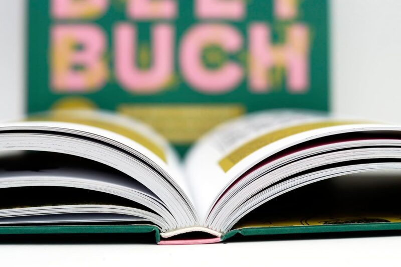 Das große Hochbeet-Buch: Alles, was du wissen musst – für über 1.000 Tage pflanzen, ernten, selbstversorgen – Bild 4