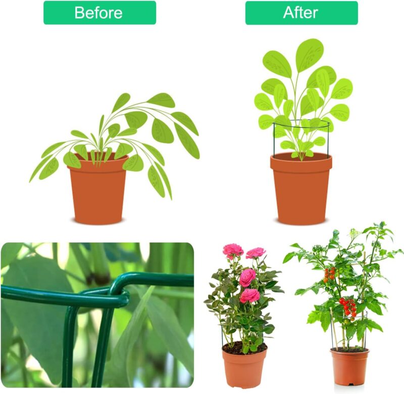JIALWEN 6 Stück 25 x 40 cm Pflanzenstütze Ringkäfige, Garten Pflanzenpfähle Metall Halbrund Grüner Pflanzenstützen für Gemüse, Tomaten, Pfingstrosen, Rosen, Hortensien, Blumen – Bild 3