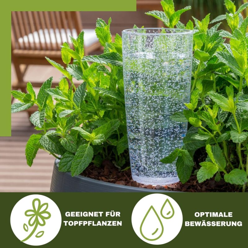 Scheurich Wasserspender Copa M | 8X Transparent | 150 ml Füllmenge | Bewässerungskugel klein mit Ton Fuß | Wasserspender Pflanzen und Blumen Terrakotta Stiel – Bild 3