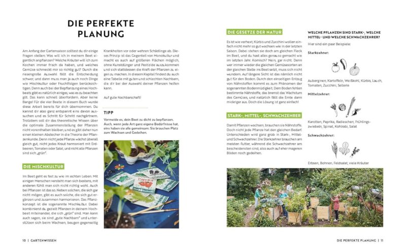 Gartenmomente: Hochbeet: Nützliche Pflanzpläne, Anbautipps und mehr: Mit Hochbeet-Bauanleitung – Bild 4
