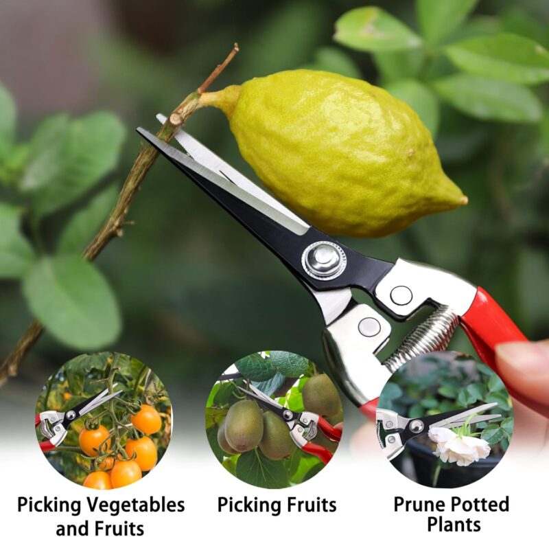 Kynup 3 ScherenSet | Gartenschere, Rosenschere, Pflanzenschere mit Handschuh – Bild 7