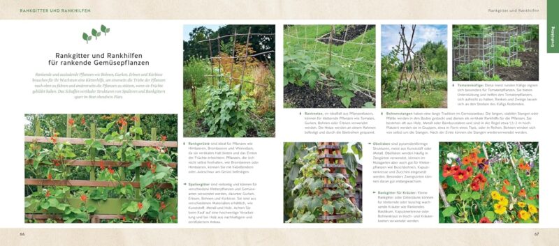 Quickfinder Hochbeet und Gemüsegarten: Was mache ich wann? Der Jahresplaner für reiche Ernte (GU Selbstversorgung) – Bild 4