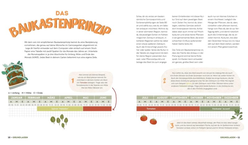 Ernte mehr als du denkst: Der geniale Anbauplaner für Hochbeete und Gemüsegarten – Bild 2