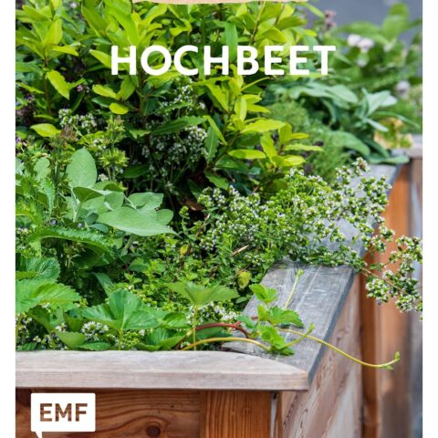 hochbeet bücher