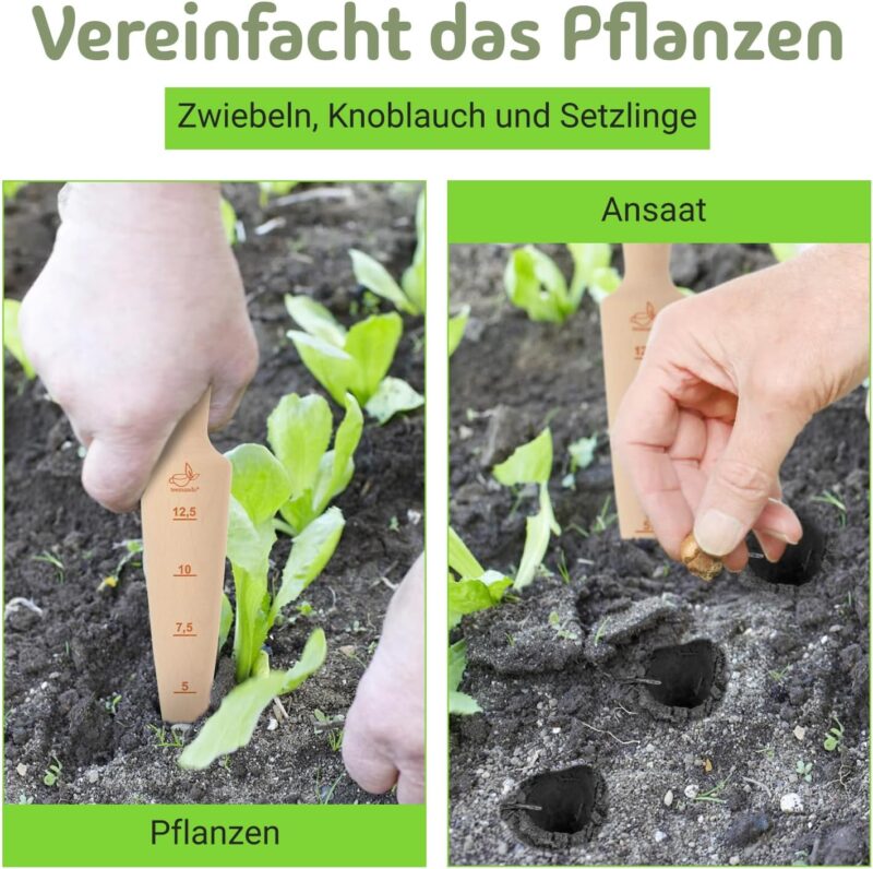 Teemando® Marken-Pflanzholz mit Scala aus unbehandeltem Buchenholz, 24,5 cm lang – Bild 2