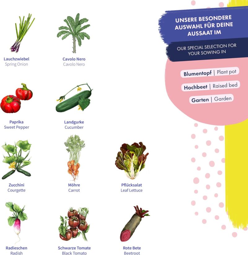 Hochbeet-Gemüse - 10 samenfeste Gemüsesorten - einfach & ertragreich - Einsteiger-Saatgutset als kleines Geschenk oder für den Eigenbedarf – Bild 3