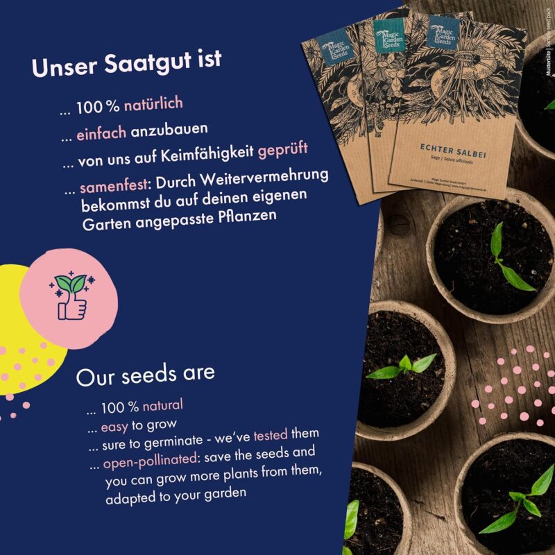 Hochbeet-Gemüse - 10 samenfeste Gemüsesorten - einfach & ertragreich - Einsteiger-Saatgutset als kleines Geschenk oder für den Eigenbedarf – Bild 4