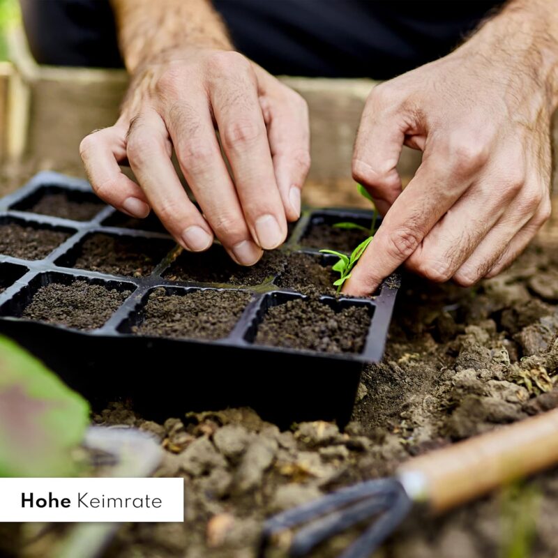 Kräuter Samen Set - 14 Kräutersamen Sorten in Samentütchen für den eigenen Kräutergarten - Samenfeste Küchenkräuter frei von Chemie & Gentechnik – Bild 4