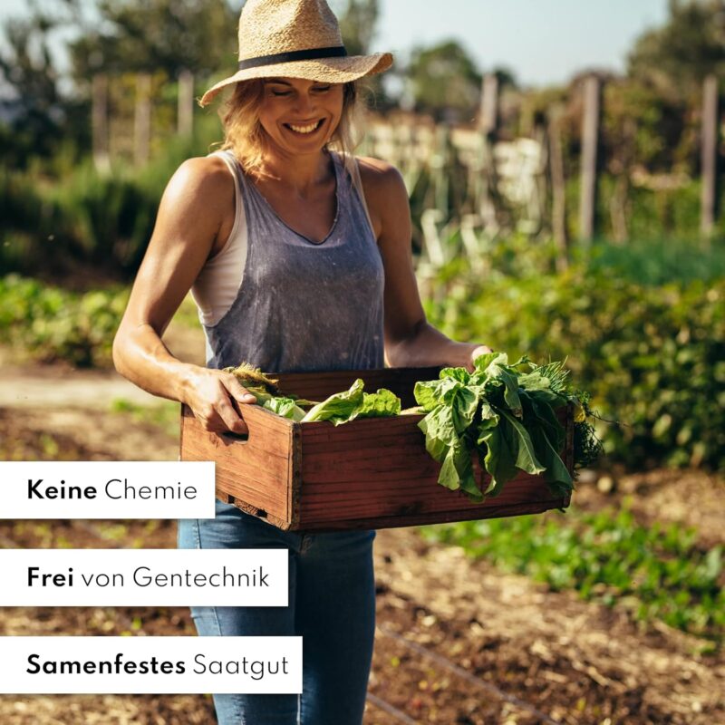 Kräuter Samen Set - 14 Kräutersamen Sorten in Samentütchen für den eigenen Kräutergarten - Samenfeste Küchenkräuter frei von Chemie & Gentechnik – Bild 6