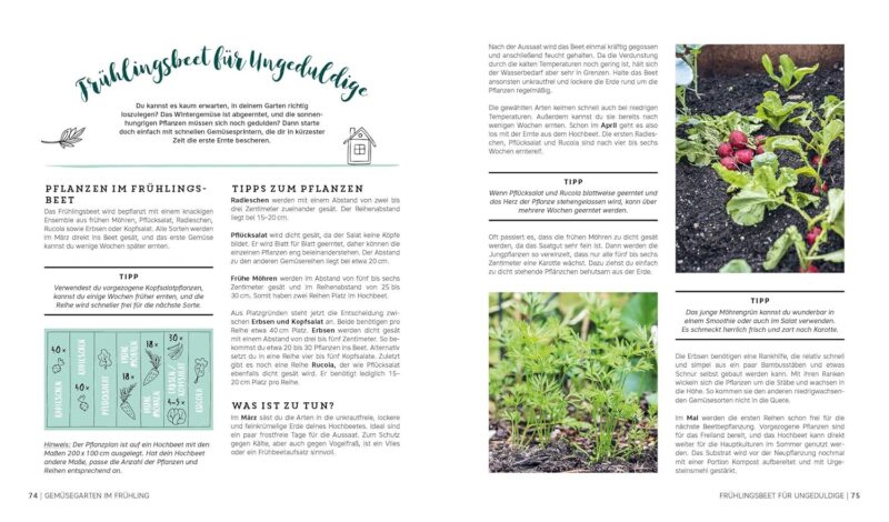 Ernte gut, alles gut! – Gemüsegärtnern im Hochbeet, Frühbeet und Gewächshaus – Bild 3