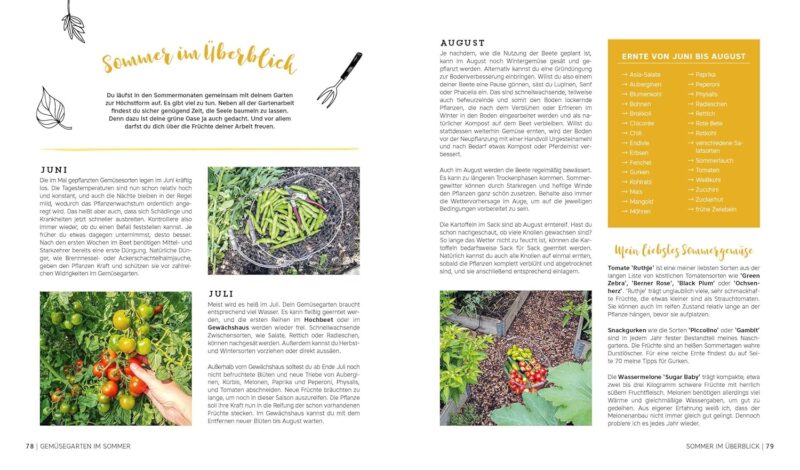 Ernte gut, alles gut! – Gemüsegärtnern im Hochbeet, Frühbeet und Gewächshaus – Bild 4