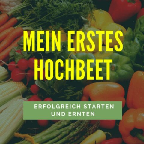 hochbeet bücher
