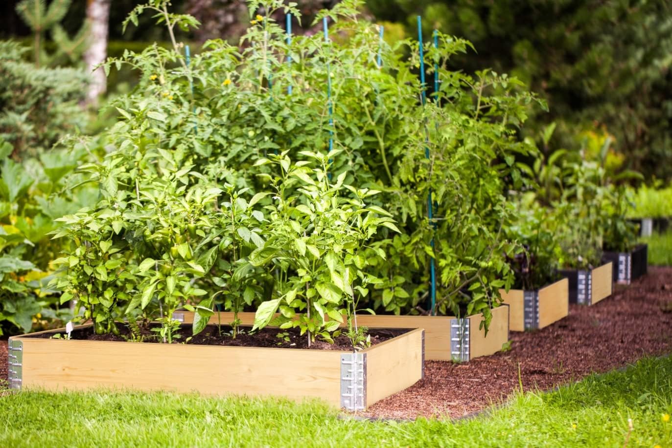 BigDean Hochbeet 3x Palettenrahmen faltbar 120x80x20cm, steckbar & stapelbar – Bild 5