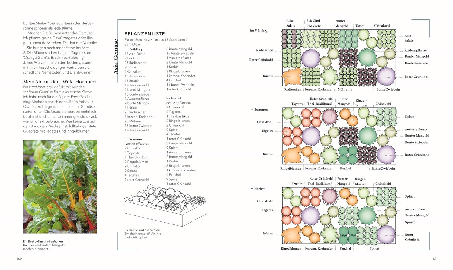 Alles im Hochbeet: Von Gemüse über Zierpflanzen bis zu Gestaltungsideen. Umfassender Ratgeber mit Schritt-für-Schritt-Anleitungen und Expertentipps – Bild 4