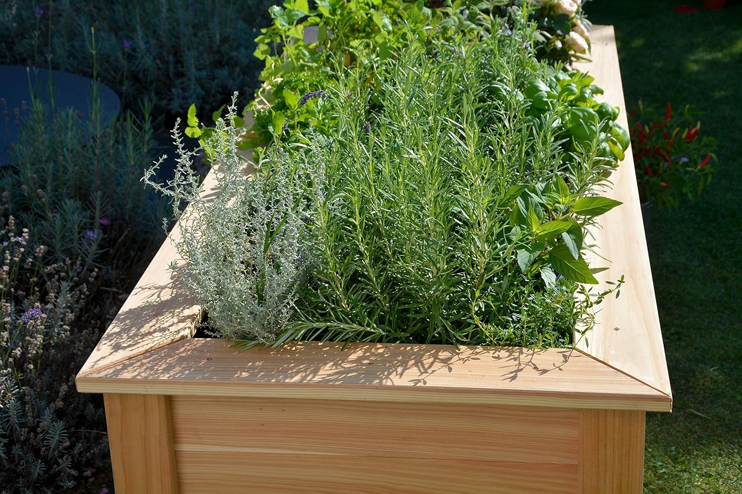 dobar® Hochbeet Douglasie Größe XL aus Massivholz inlkusive Pflanzfolie - XL Salatbeet für Garten/Terrasse/Balkon als Bausatz - 150 x 60 x 65 cm - Natur – Bild 9