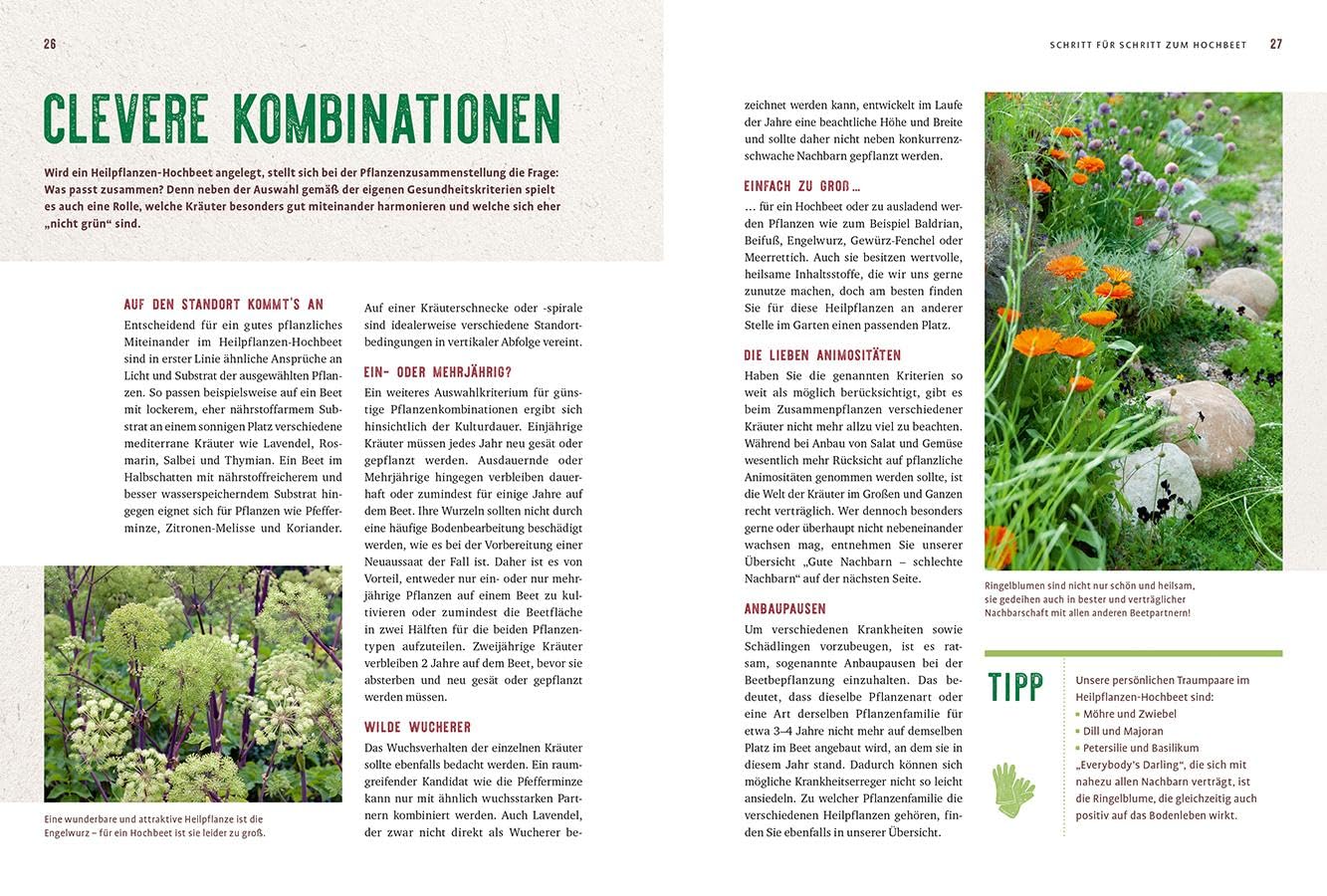 Mein Heilpflanzen-Hochbeet: Grüne Apotheke – clever planen & reich ernten. Von den Hochbeet-Profis – Bild 3