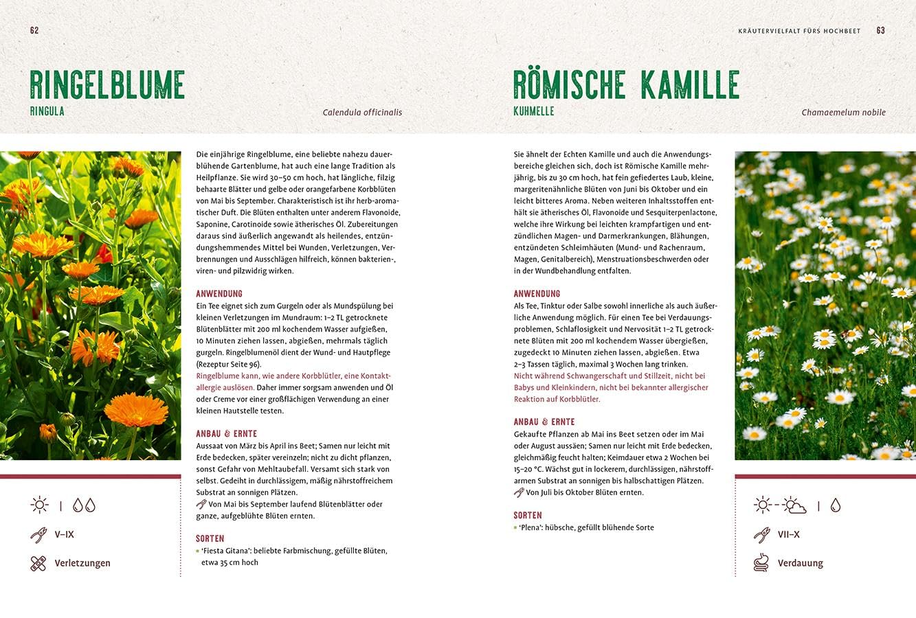 Mein Heilpflanzen-Hochbeet: Grüne Apotheke – clever planen & reich ernten. Von den Hochbeet-Profis – Bild 4