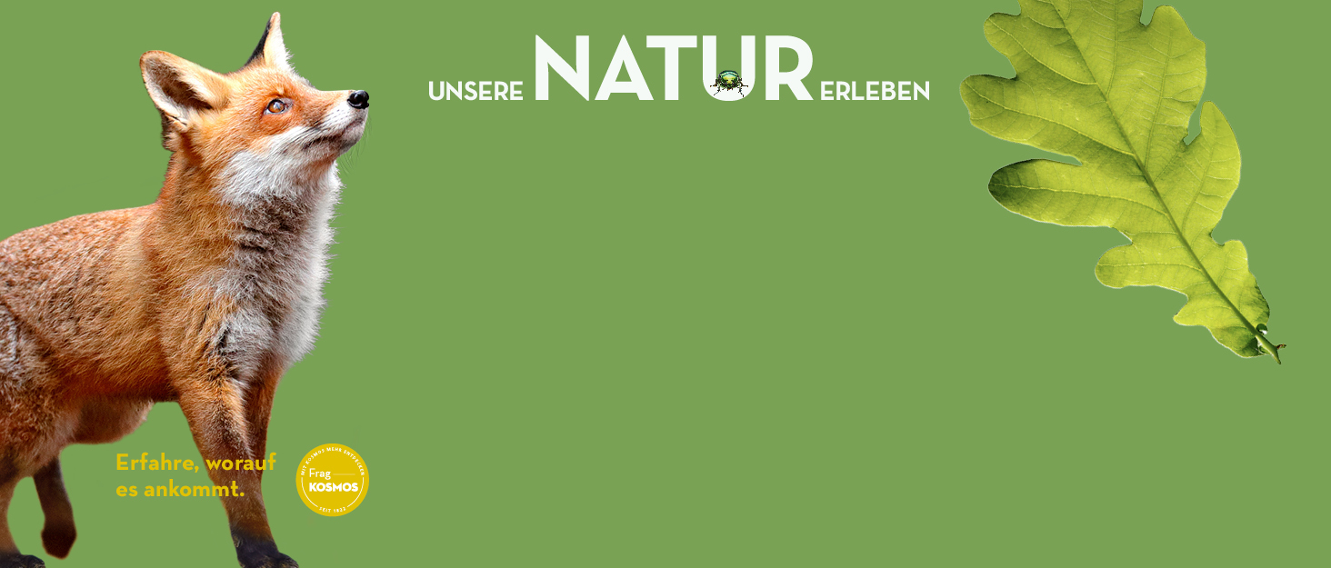 Kosmos_Ratgeber_Natur