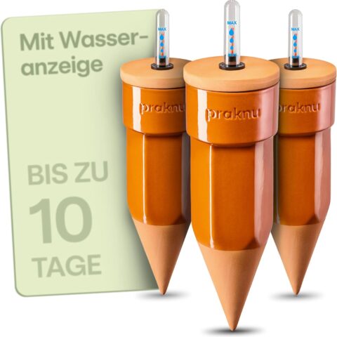 hochbeet bewässerung