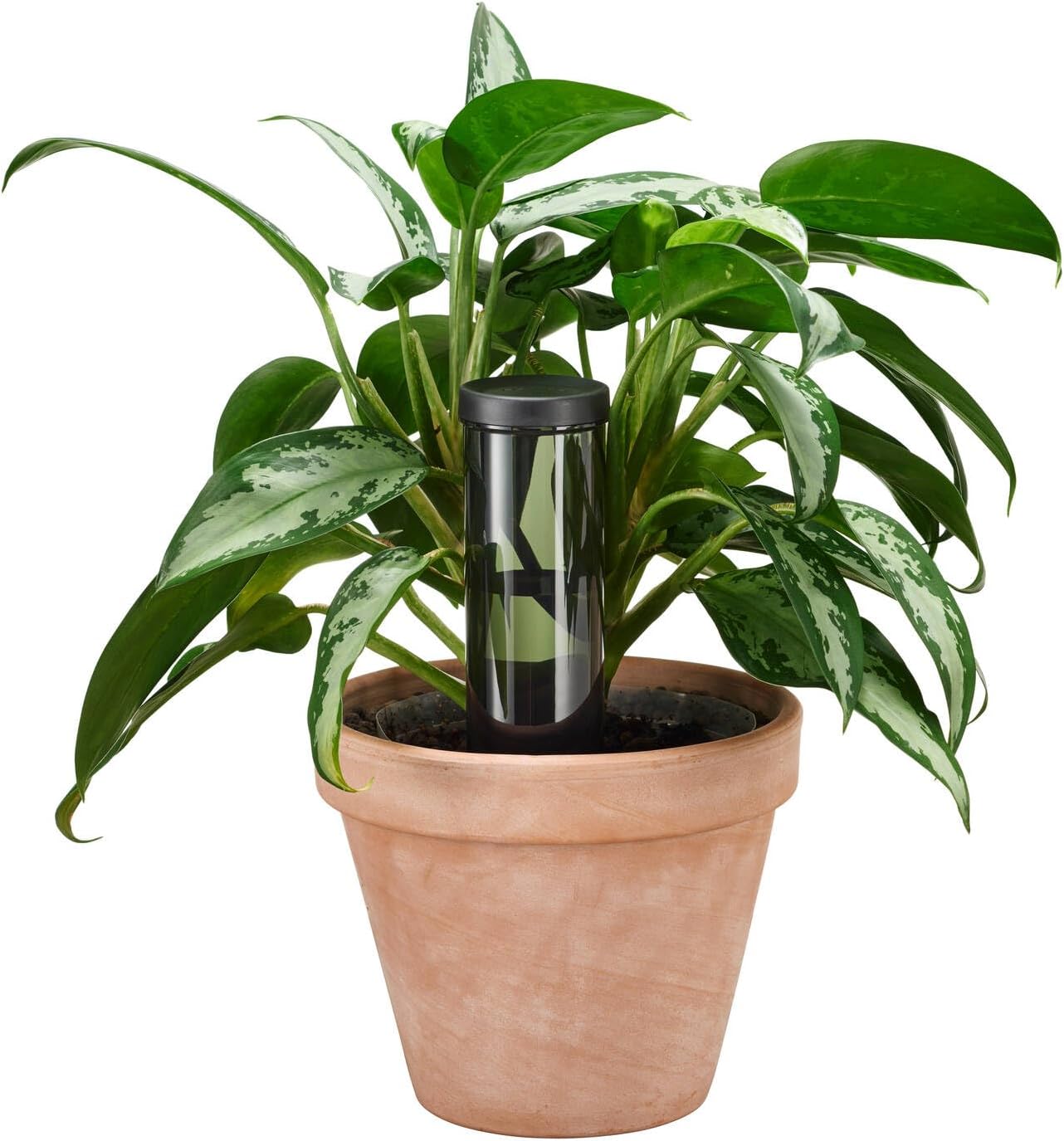 Fiskars Urban Plant Care Water Dispenser – Bild 5